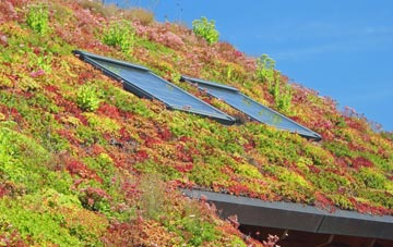Sandy Lane living roof systems